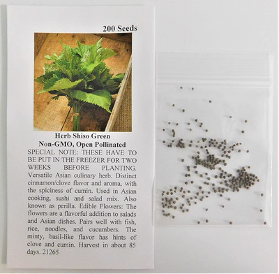 CYBEXIS GBPUT-44 - Herb Shiso Green - (750 Seeds) Seed(750 per packet)