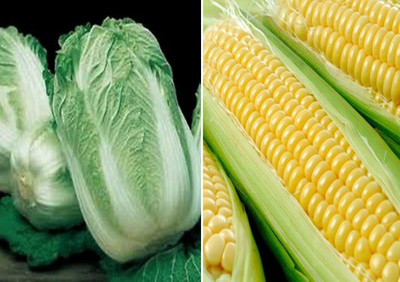 WILLVINE Wong Bok Chinese Cabbage and F1 Hybrid Sweet Corn Seeds-[100 Seeds] Seed(100 per packet)