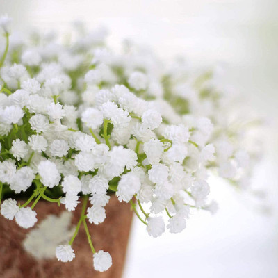 Aywal Gypsophila Good Germination Mixed Color Flower Seed(80 per packet)
