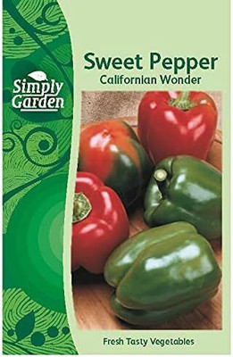 KNESSiN Heirloom Californian Wonder Capsicum Seeds for Terrace Gardening-(100 Seeds) Seed(100 per packet)
