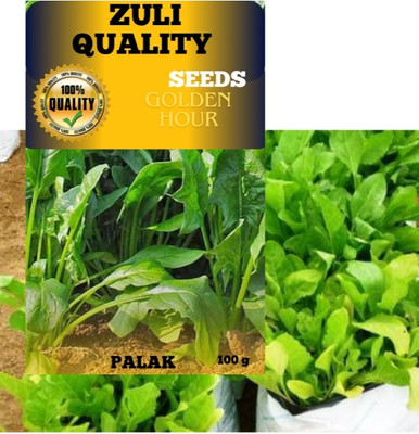 zuli Spinach Seed(1000 per packet)