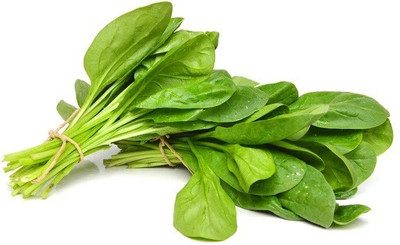 CYBEXIS SPINACH SEEDS2800 Seeds Seed(2800 per packet)