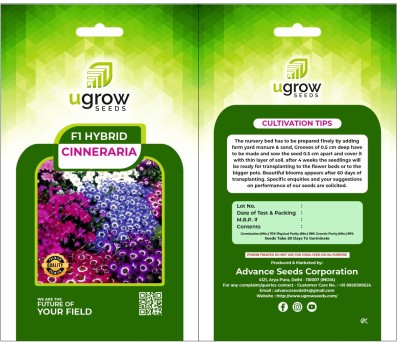 agri max gardens AGRIMAX GARDENS VIBRANT HYBRID CINERARIA MIX: COLORS AND VARIETIES Seed(40 per packet)