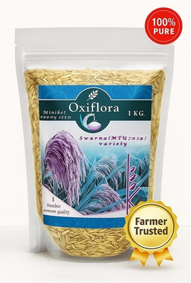 Oxiflora Swarna (MTU 7029) Variety Dhan, Rice & Paddy for, Miniket Seed(1 kg)