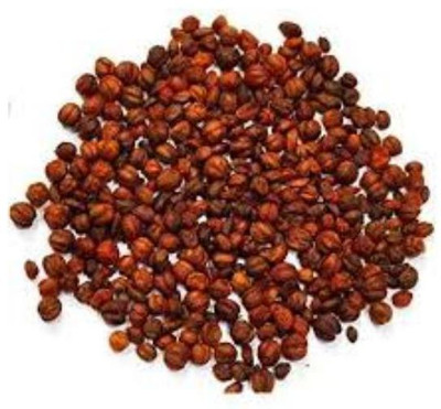 sarvottam creation Malkangni Beej - Jyotishmati Seeds Seed(100 g)