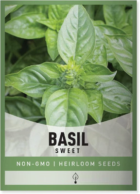 Qualtivate XL-90 Genovese Sweet Large Leaf Basil Seed(1000 per packet)