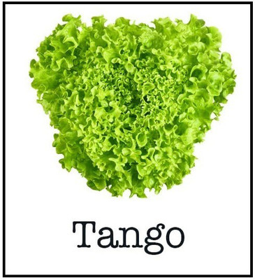 VibeX NDIR-85 - Tango Lettuce - (150 Seeds) Seed(150 per packet)