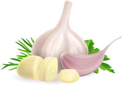 Avysa Garlic Cloves Seed(40 per packet)