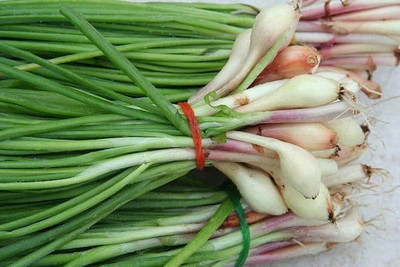 VibeX ® XXL-887 Spring Cut Bunching Onion Seeds Seed(1000 per packet)