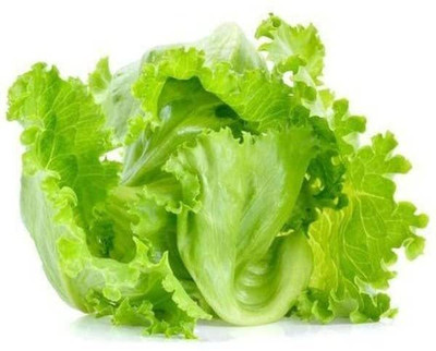 Aywal Crisphead Great Lakes Lettuce Seed(100 per packet)