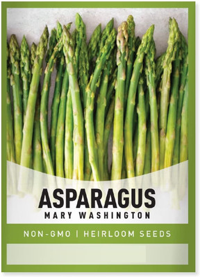 Biosnyg Asparagus Mary Washington-[250 Seeds] Seed(250 per packet)