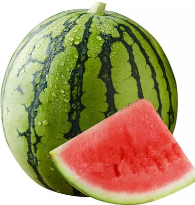 EMKOT Tropical Fruit Watermelon/तरबूज के बीज Seed(30 per packet)