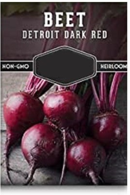 CYBEXIS Dark Red Beetroot2000 Seeds Seed(2000 per packet)