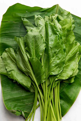 Quentova Palak Spinach Vegetables-QLTY-10W Seed(300 per packet)