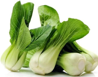 WILLVINE NKR -I Chinese Cabbage Bok Choy [5g] Seed(1500 per packet)