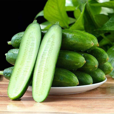 CYBEXIS Cucumber Seeds Crisp and Refreshing Juicy2000 Seeds Seed(2000 per packet)