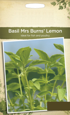VibeX ® LXI-20 Basil- Mrs Burns Lemon seeds Seed(1000 per packet)