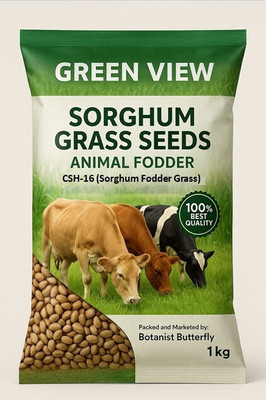 Green view Hybrid CSH-16 Sourghum Grass, Multicut More Milk, Cow Buffelo Goat Pig Sheep(1kg) Seed(1 per packet)