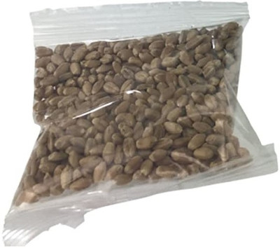 Qualtivate KGF -136 Cat Wheatgrass Seeds Seed(2000 per packet)
