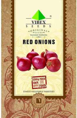 WILLVINE Red Nasik Onion Seeds Seed(20000 per packet)