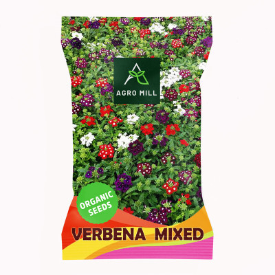AGRO MILL VERBENA/VERVAIN MULTIFLORA MIXED PREMIUM QUALITY FLOWER Seed(50 per packet)