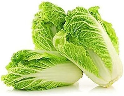 WILLVINE PUAS -XVI Chineses Cabbage Beijing Napa Lettuce [2.5g] Seed(750 per packet)