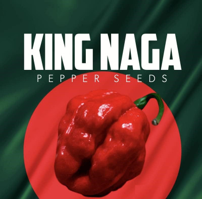Biosnyg Hybrid Extra Hot Naga Pepper Vegetable Seeds For Planting-(4000 Seeds) Seed(4000 per packet)