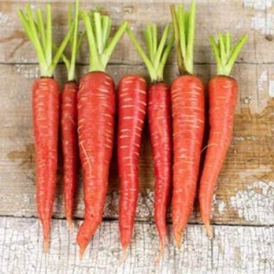 Aywal Carrot Hybrid Vegetable Seed(150 per packet)