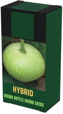 Qualtivate PUA5-A Pusa Round Bottle Gourd Seed SEED Seed(50 per packet)
