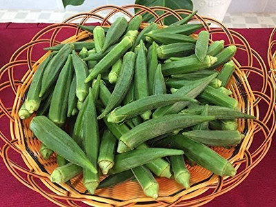 VibeX NBIR-25 - Okra Emerald Non GMO - (1350 Seeds) Seed(1350 per packet)
