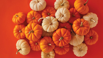 VNR Fresh VNR Pumpkin Hybrid Vegetable Seed(100 per packet)