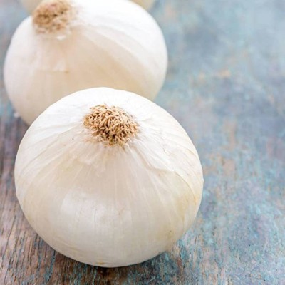 KANAYA White Onion Seed(275 per packet)