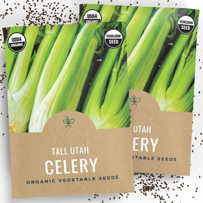 Qualtivate XLR-192 Celery Seed, Utah Tall Seeds Seed(500 per packet)