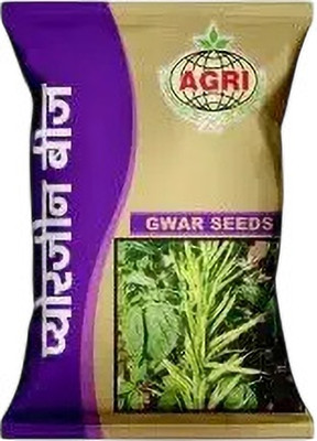 ROOTSTOKITCHEN Puregene Seeds| Cluster Bean Seeds (No of seeds - 500)(pack of 3) Seed(100 g)