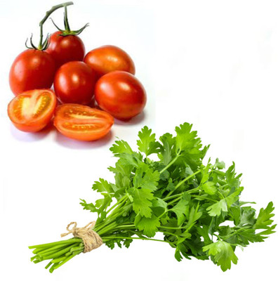 PSAgroinput Tomato and Dhaniya Vegetable Seed(100 g)
