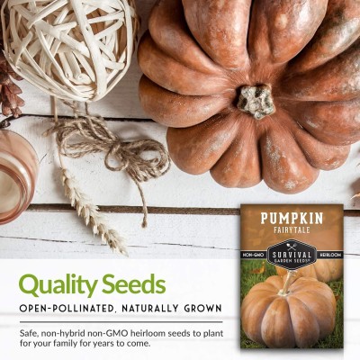 Qualtivate ICRA-5A Fairy Tale Pumpkin Seed Seed(50 per packet)