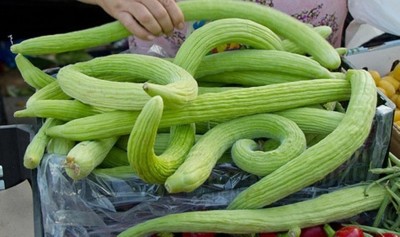 Qualtivate PUAS-6A Rare Cucumber Armenian Long Seed(300 per packet)