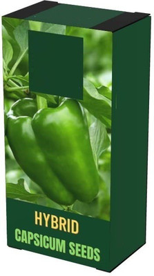 CYBEXIS VXI-53 - Bellpepper Capsicum Green - (150 Seeds) Seed(150 per packet)