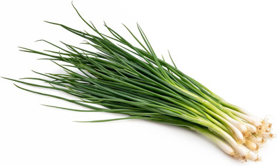 KNESSiN High Yield White Lisbon Bunching Onion Seeds for Home Gardening-(2400 Seeds) Seed(2400 per packet)