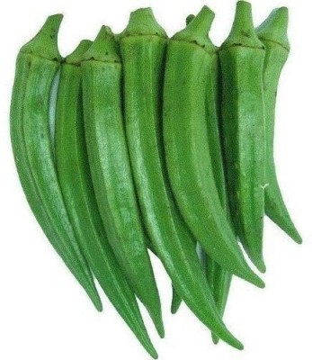 Saleshop365 Ladyfinger Pratigya Bhindi Okra Hybrid | Organic Seeds Seed(1 g)