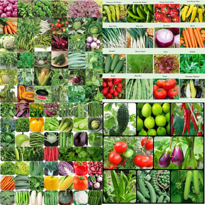 ibains Hybrid vegetable seeds 235 Seed(203 per packet)