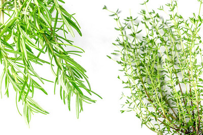 XOLDA Thyme herbs Seed(32 per packet)