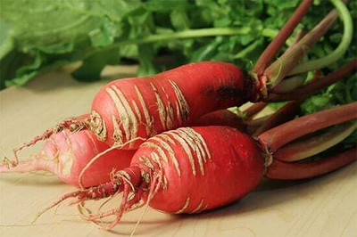 CYBEXIS Chinese Rose Radish2400 Seeds Seed(2400 per packet)