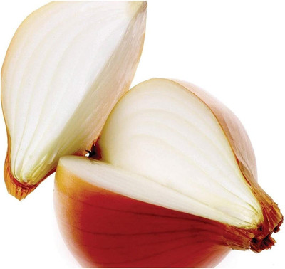 WILLVINE Vegetable - Onion - SANTERO F1-[5000 Seeds] Seed(5000 per packet)