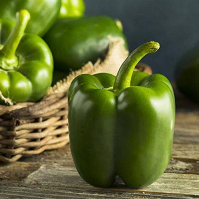 BDSresolve capsicum vegetable seeds for home garden/capsicum seed 64 Seed(64 per packet)