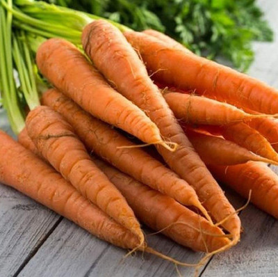 VibeX LX-30 - Coreless Tendersweet Carrot - (750 Seeds) Seed(750 per packet)