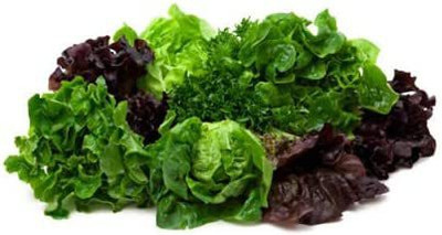 WILLVINE PAU-387 Lettuce Mix ! This is A Mix!!! 20 Varieties Seed(200 per packet)