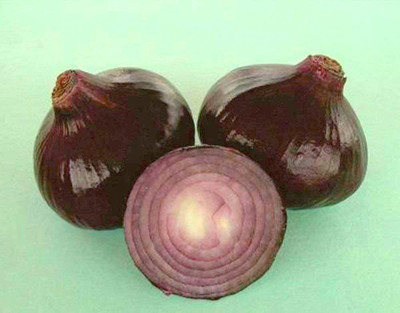 WILLVINE SCI -VI Onion Star Z-black [100g] Seed(300 per packet)