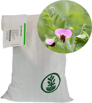 VibeX ® XLR-367 Austrian Field Pea Seeds Seed(50 per packet)