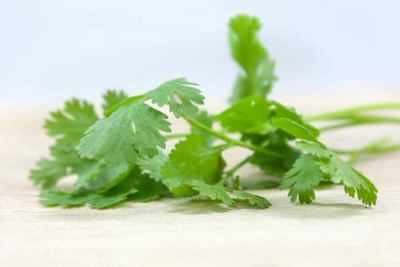 XOLDA Organic Coriander Seed(15 per packet)